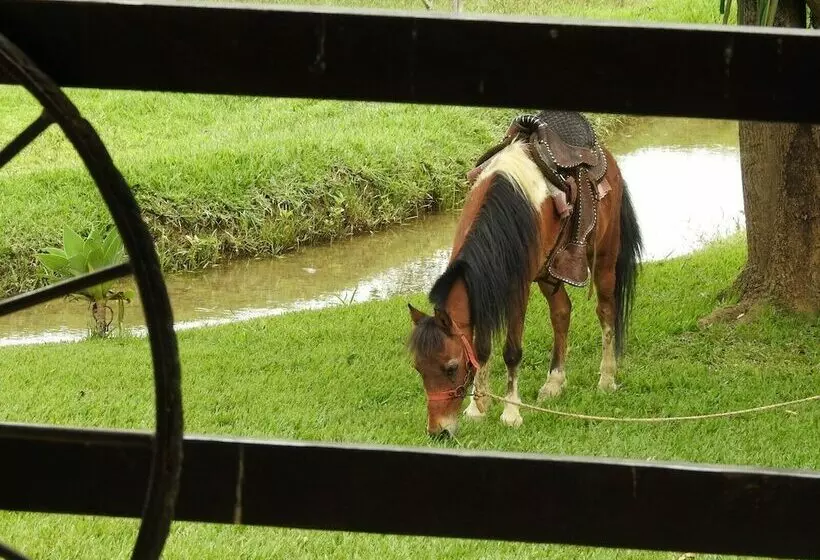 簡易ホテル Rancho Moreira Pousada E Restaurante