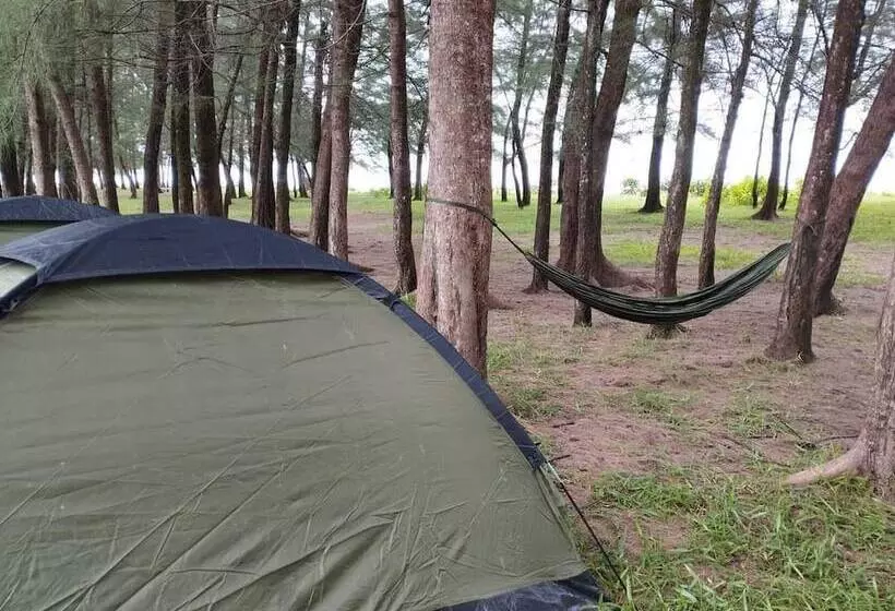 ホテル Andaman Peace Resort