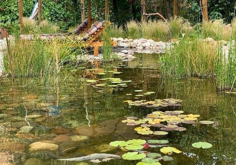 בית מלון כפרי El Paraíso Lodge Alcohuaz