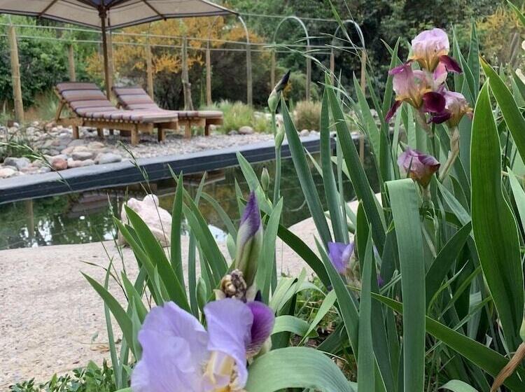 בית מלון כפרי El Paraíso Lodge Alcohuaz