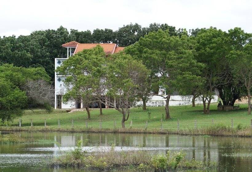 בית מלון כפרי Grand Villa Kalametiya