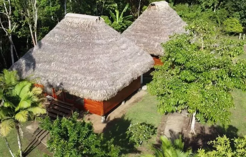 ホテル Pashpanchu Lodge