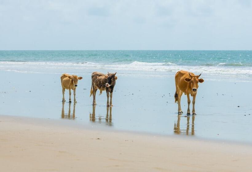 هتل Tamba Kuruba Eco Lodge