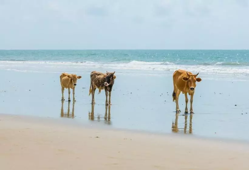 هتل Tamba Kuruba Eco Lodge