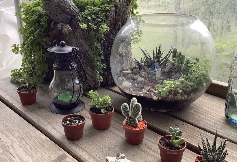 Leisure Pavilion House B&b