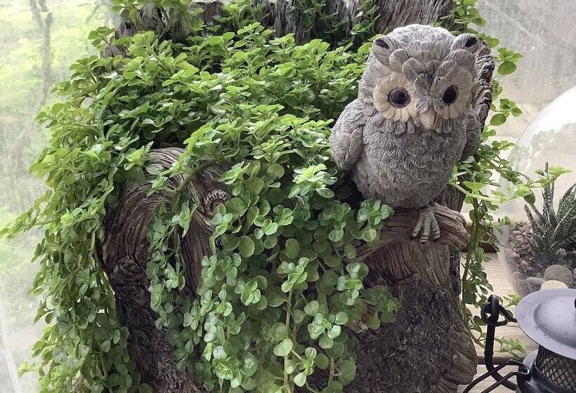 Leisure Pavilion House B&b