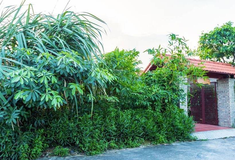 پانسیون Bai Dinh Eco Homestay