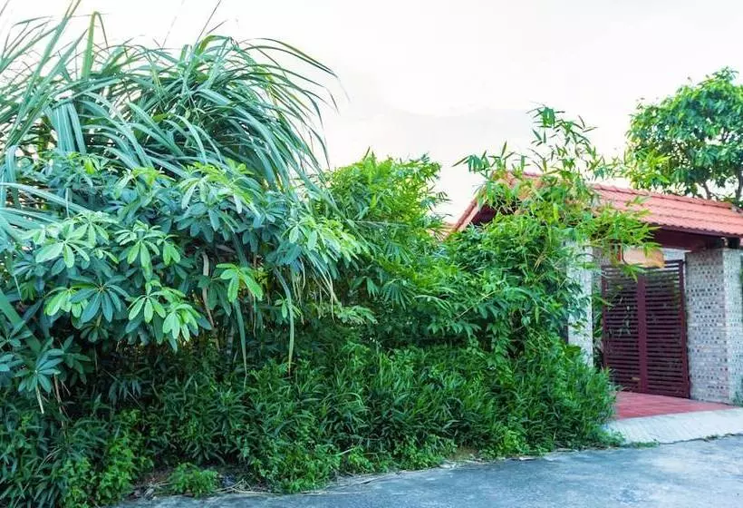 پانسیون Bai Dinh Eco Homestay