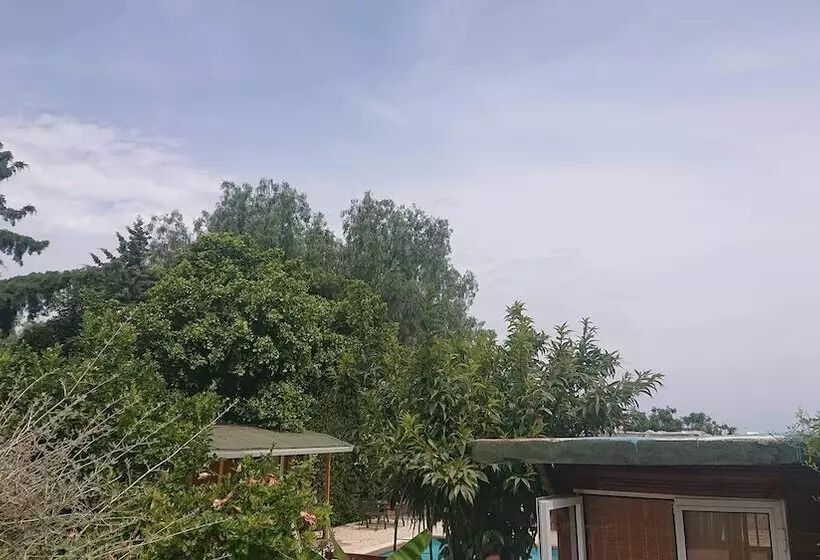 ペンション Green Bungalow