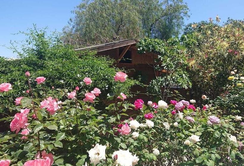 پانسیون Green Bungalow