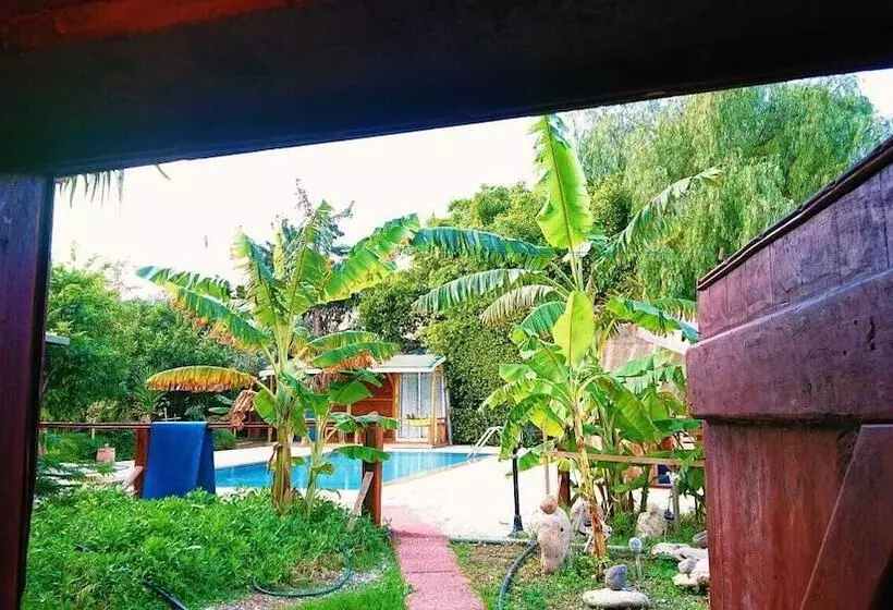 ペンション Green Bungalow