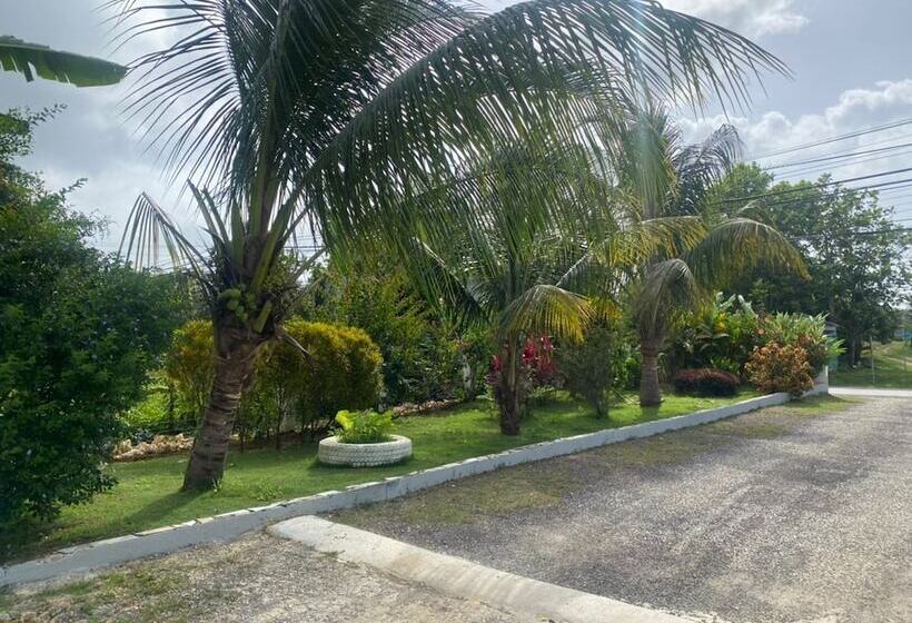 پانسیون Viviennes Guest House