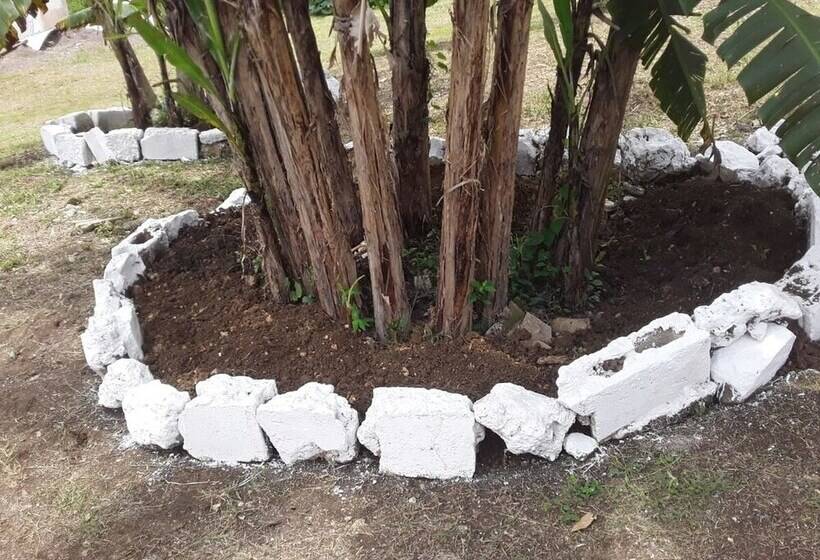 پانسیون Viviennes Guest House