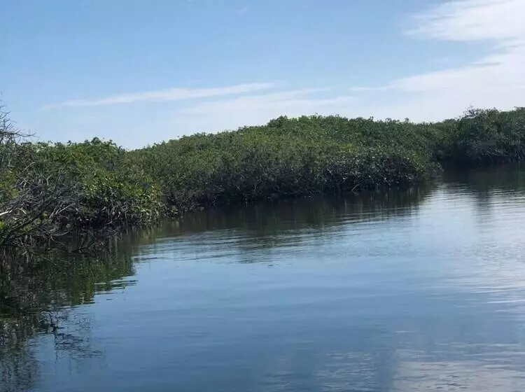 Aamiaismajoitus (B&B) Alcatraz