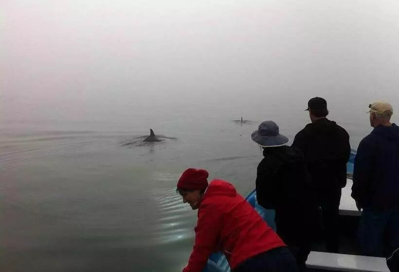 Aamiaismajoitus (B&B) Alcatraz