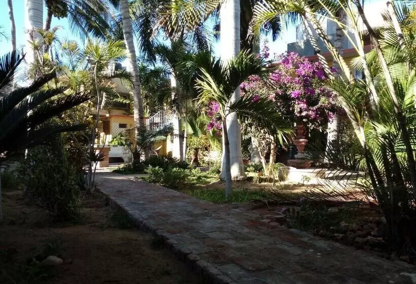 Aamiaismajoitus (B&B) Alcatraz