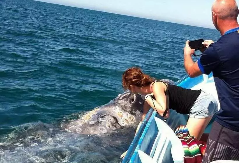 Aamiaismajoitus (B&B) Alcatraz