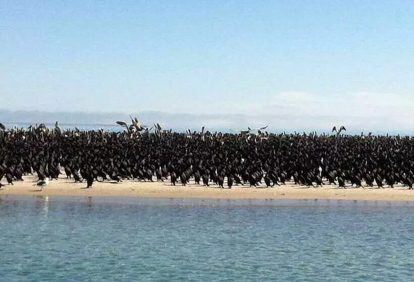 Aamiaismajoitus (B&B) Alcatraz