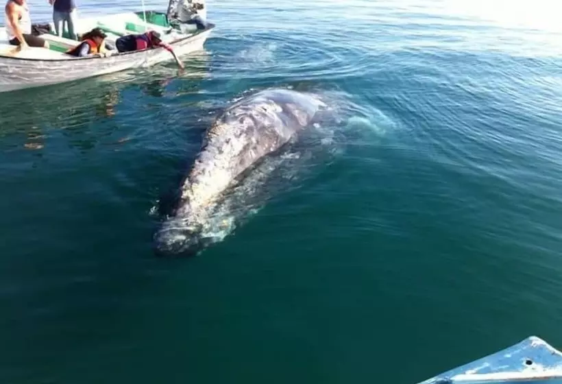 Aamiaismajoitus (B&B) Alcatraz