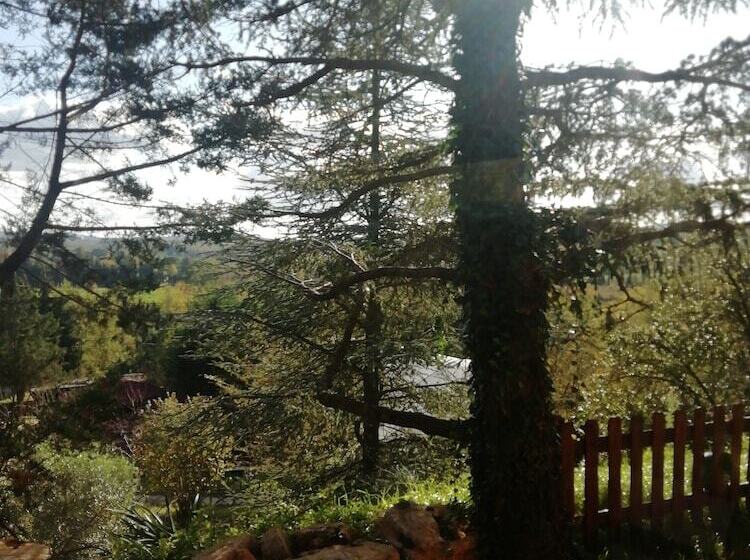 Bed and Breakfast Casale Sant Elia