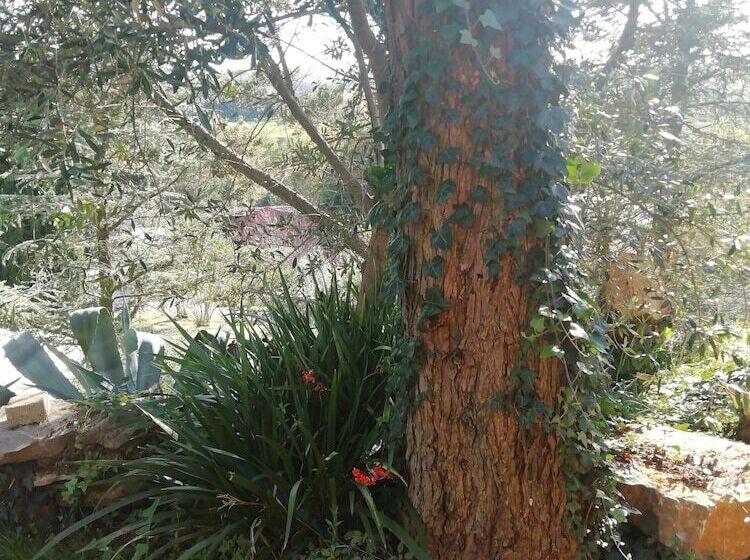 Bed and Breakfast Casale Sant Elia