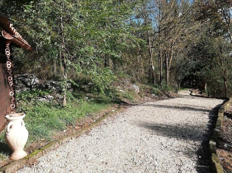 Bed and Breakfast Casale Sant Elia