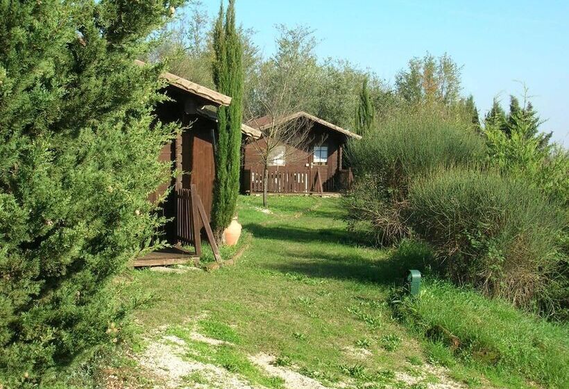 Bed and Breakfast Casale Sant Elia