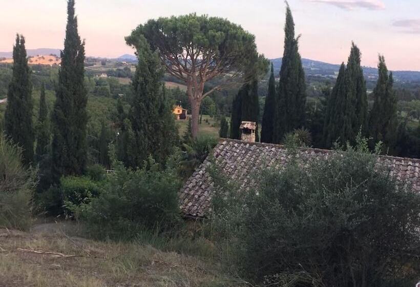 Bed and Breakfast Casale Sant Elia