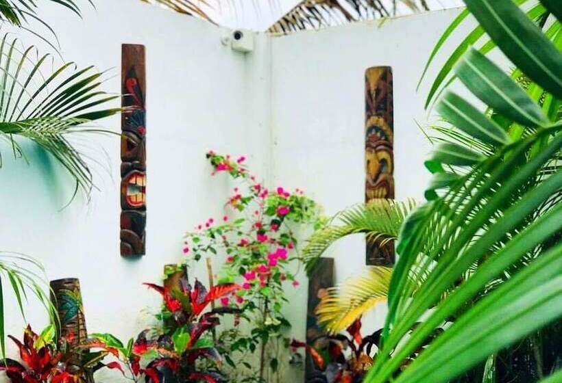 Burgues Mancora   Hostel