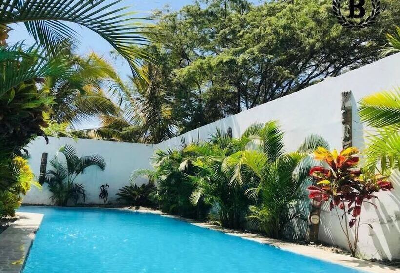 Burgues Mancora   Hostel