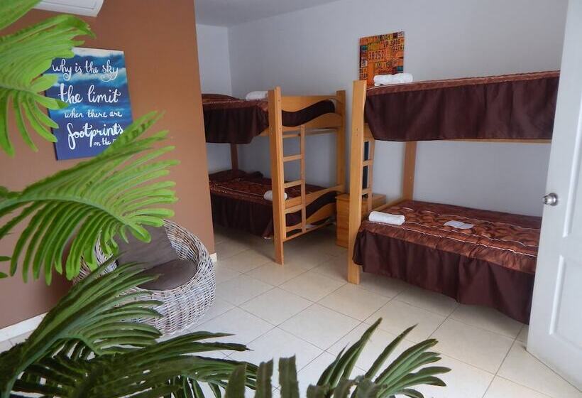 Burgues Mancora   Hostel