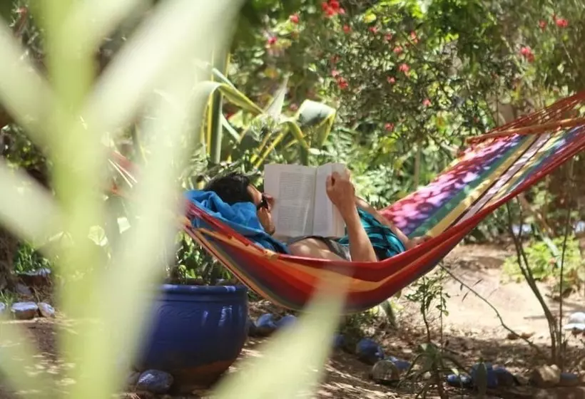 Hostelli Auberge Tasra