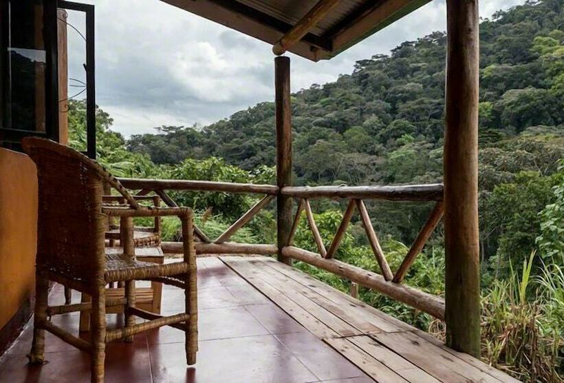 هتل Gorilla Valley Lodge