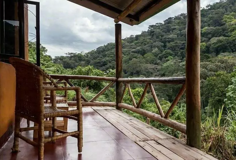 هتل Gorilla Valley Lodge