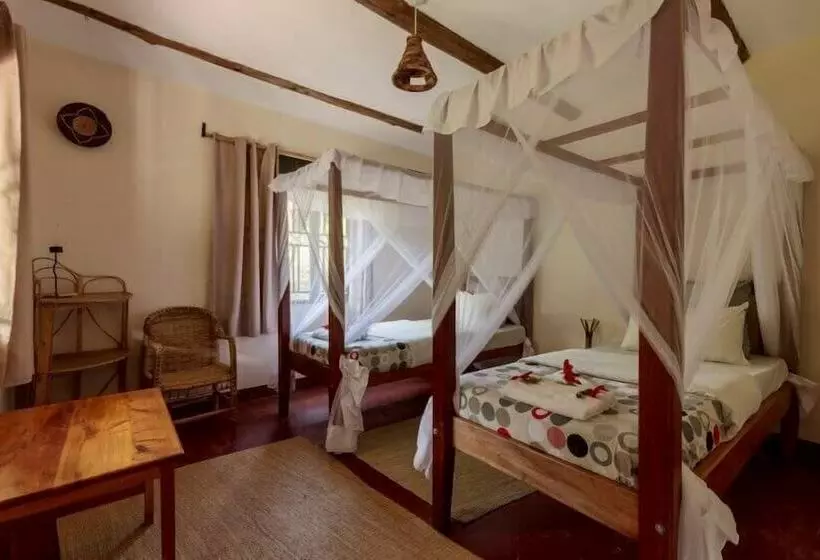 هتل Gorilla Valley Lodge