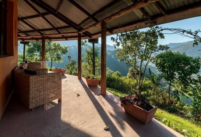 هتل Gorilla Valley Lodge