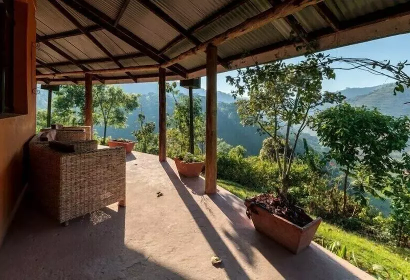 هتل Gorilla Valley Lodge