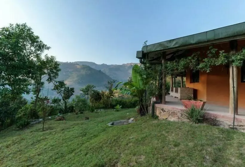 هتل Gorilla Valley Lodge