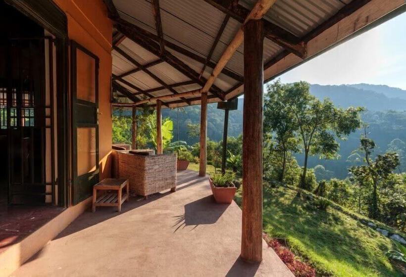 هتل Gorilla Valley Lodge