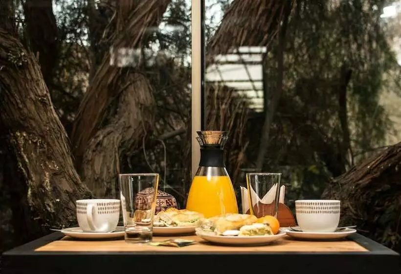 Hotelli Hostal Estacion Del Fuego