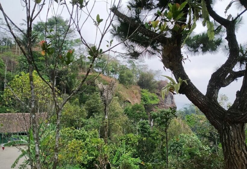 בית מלון כפרי Kus Homestay