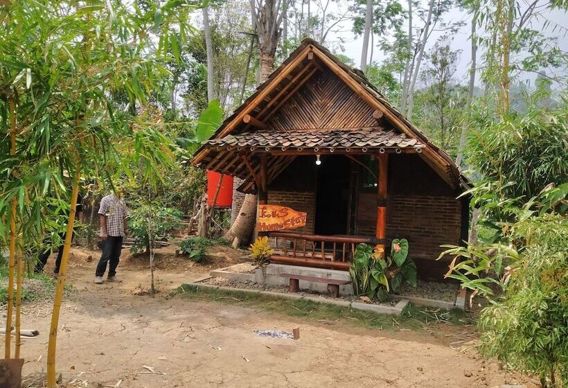 בית מלון כפרי Kus Homestay