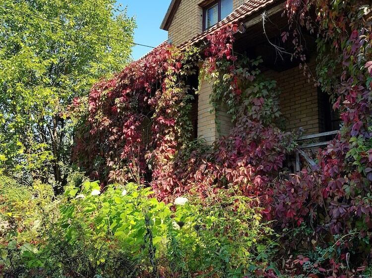 بنسيون Dream Village