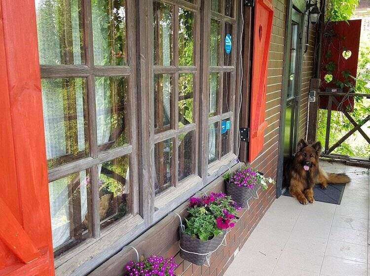 بنسيون Dream Village