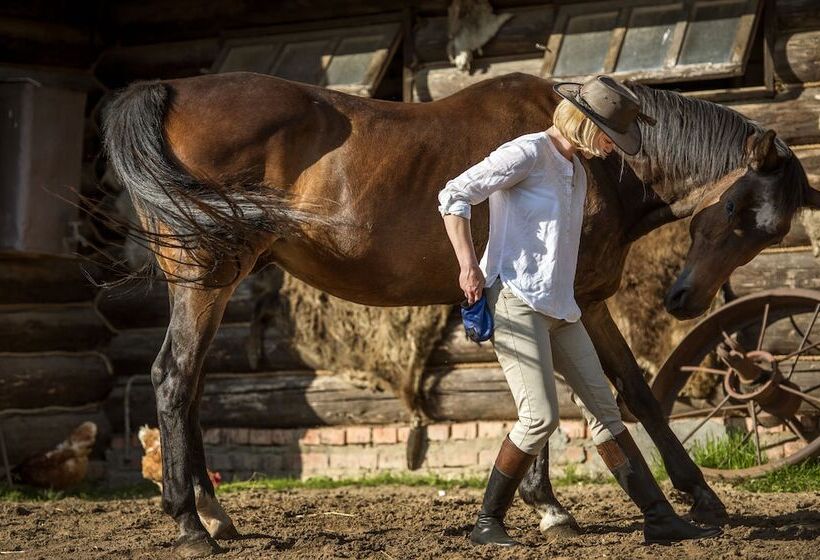 بنسيون Dream Village