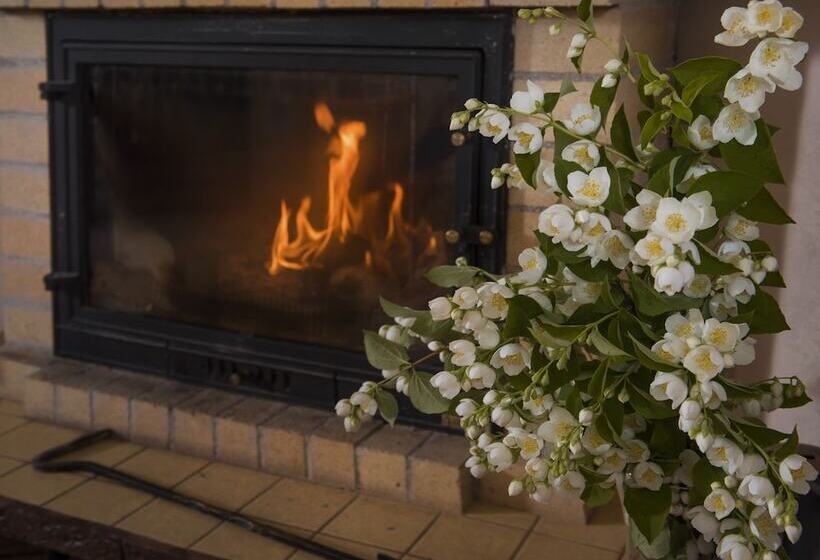 بنسيون Dream Village