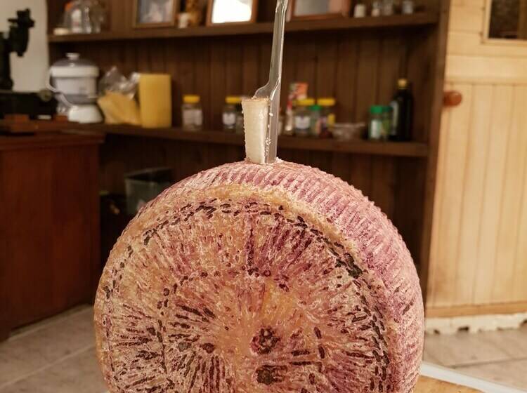 بنسيون Dream Village