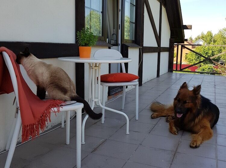 بنسيون Dream Village