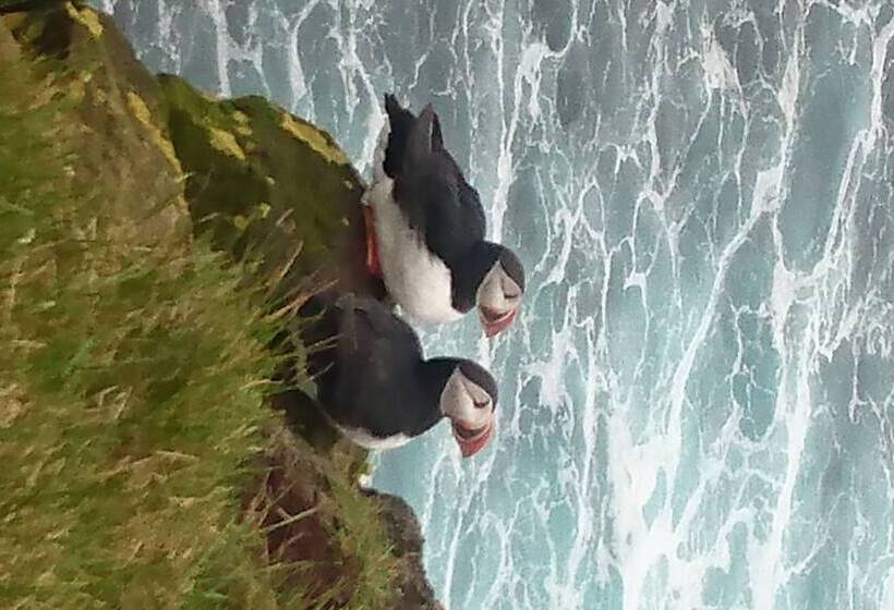 پانسیون Móra Guesthouse