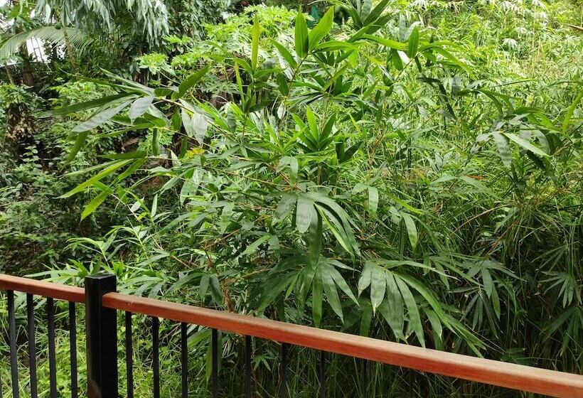 פנסיון Haven Vietnam